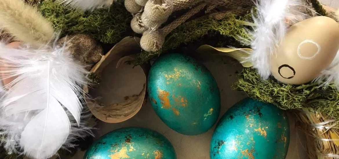 209925102_228314878960263_878846604242094590_n-1-1170x550-1